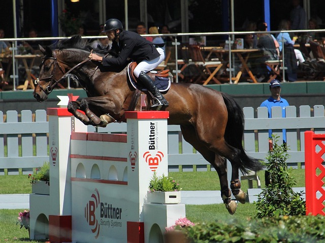 以确保能在 以确保能在