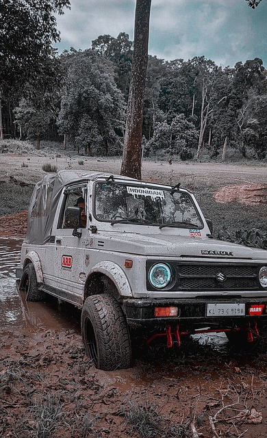 广厦队的核 广厦队的核