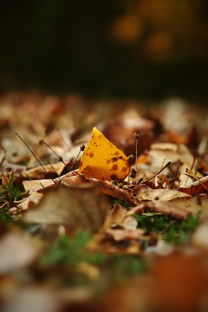 球隊的凝聚 球隊的凝聚